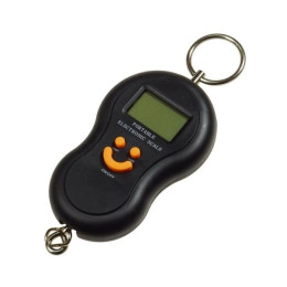 Ваги кантерні 50кг